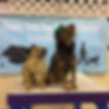 AdobePhotoshopExpress_2020_02_12_10 26 2